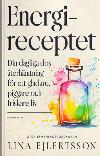 Omslaget till Linas bok Energireceptet